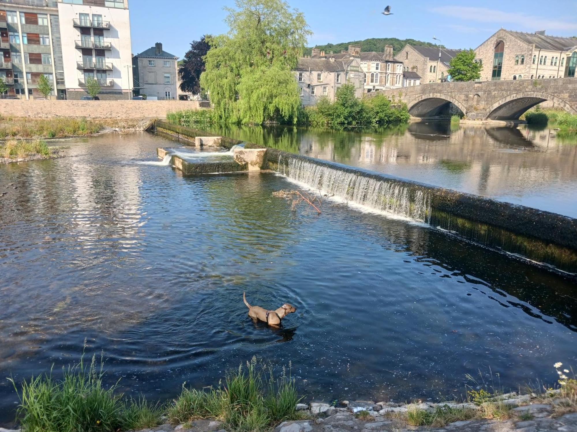 Arthurs Cottage -Charming Courtyard Cottage In The Heart Of Kendal, The Lake District Εξωτερικό φωτογραφία